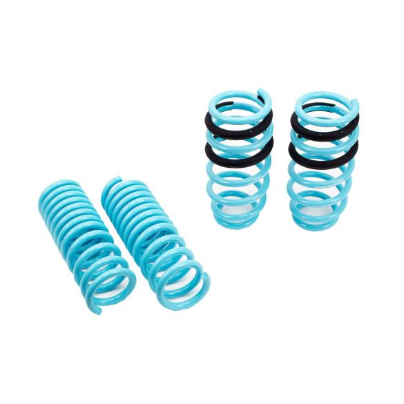 Traction-S Performance Lowering Springs For Dodge Charger SRT8 (LD) RWD w/o Nivomat 2005-14