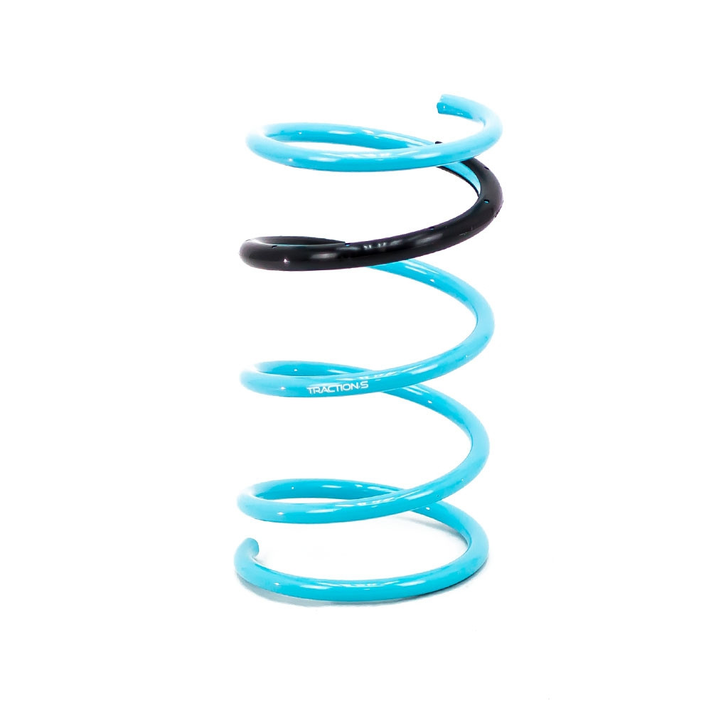 Godspeed Traction-S Lowering Springs For NISSAN MAXIMA 2000-03  LS-TS-NN-0005