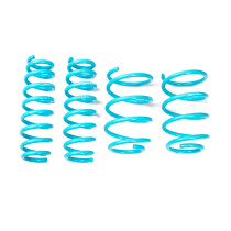 Traction-S Performance Lowering Springs For BMW 3-Series Wagon RWD (E91) 2006-12