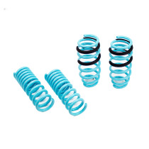 Traction-S Performance Lowering Springs For Dodge Charger V8 RWD 2012-23  w/o Nivomat
