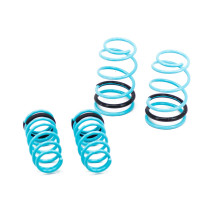Traction-S Performance Lowering Springs For Nissan Sentra (B15) 2000-06 