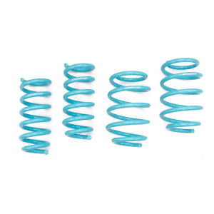 Ford Flex 2009-2018 Traction-S™ Performance Lowering Springs